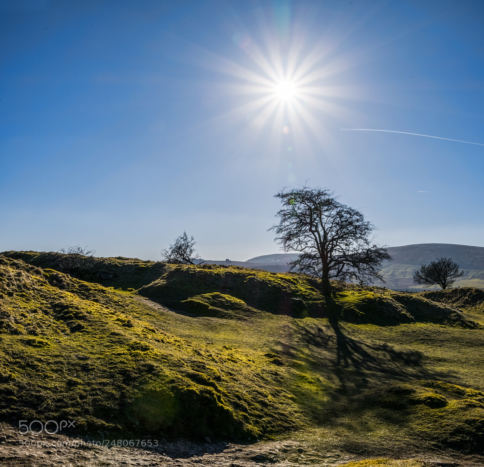 Nikon D5300 sample photo. Tree with sunburst photography