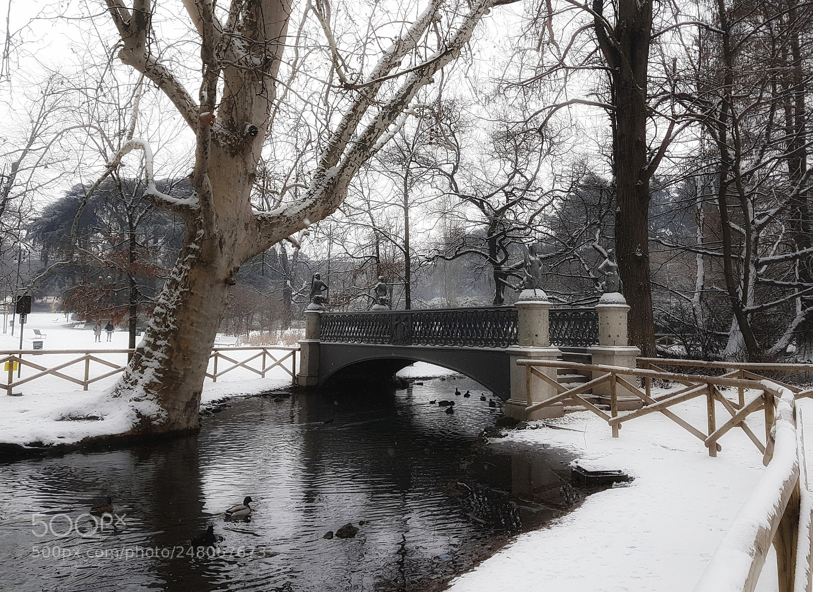 Samsung Galaxy S7 sample photo. Mermaid's bridge photography
