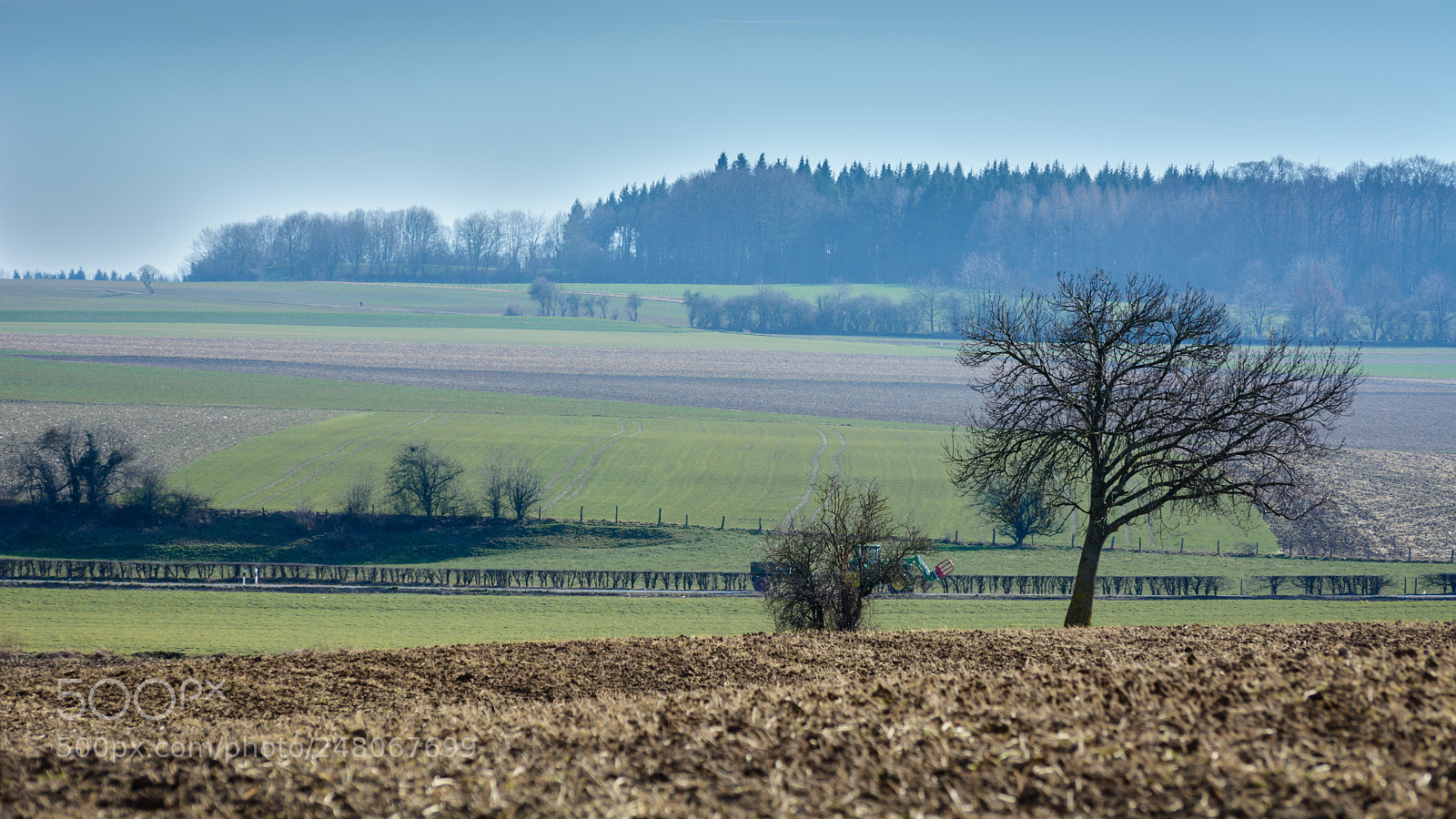 Nikon D7100 sample photo. Cold & sunny photography