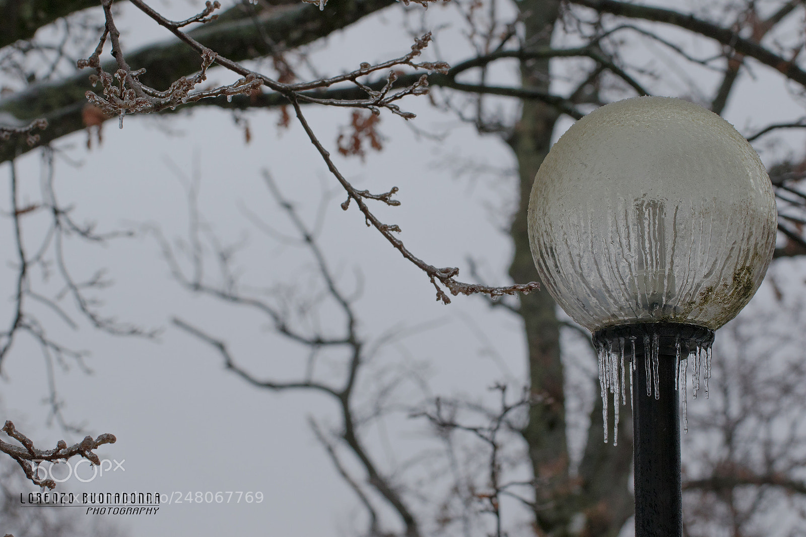 Canon EOS 7D Mark II sample photo. Galaverna (torriglia, ge, italy) photography