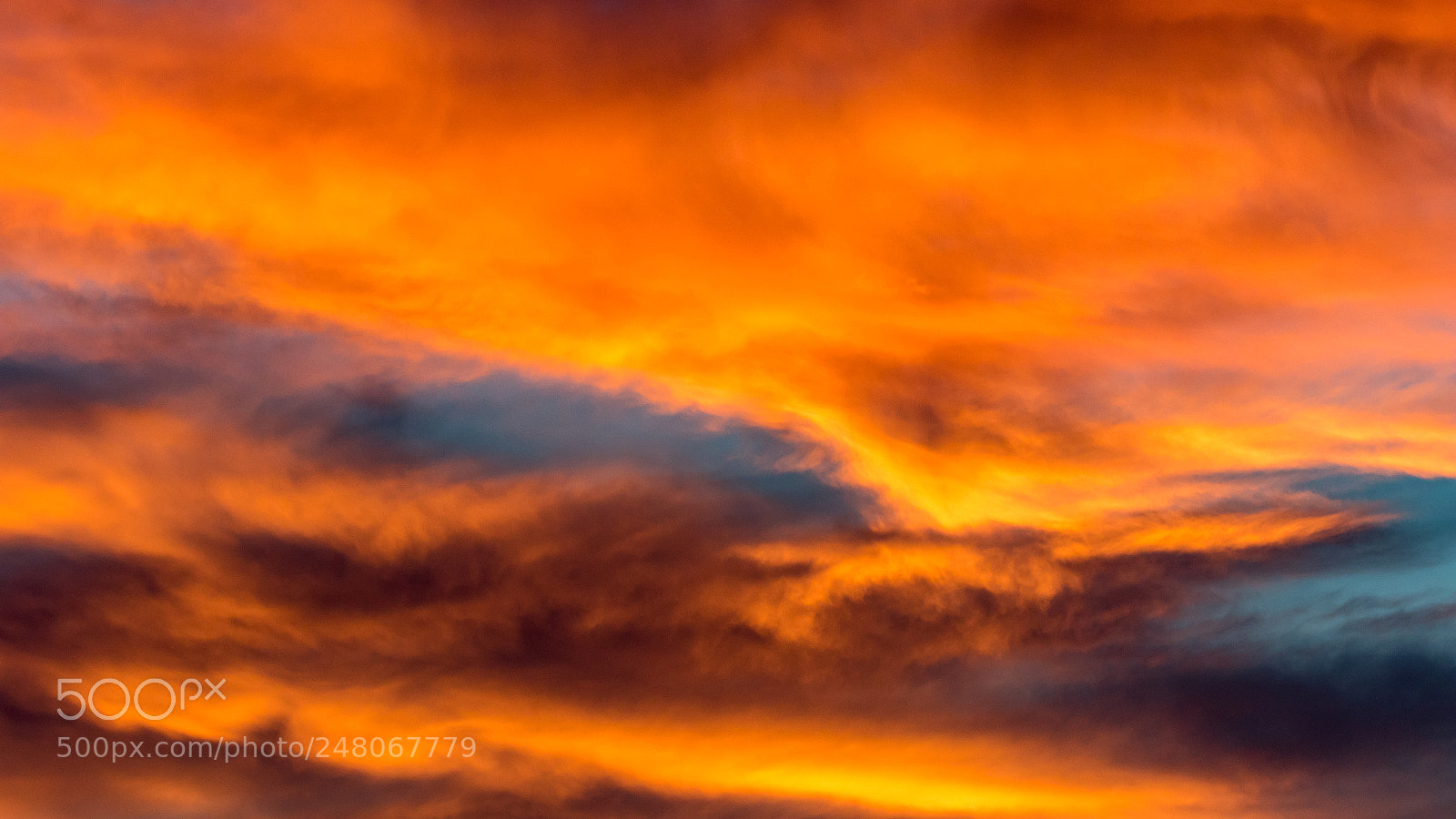 Canon EOS 7D Mark II sample photo. Orange photography
