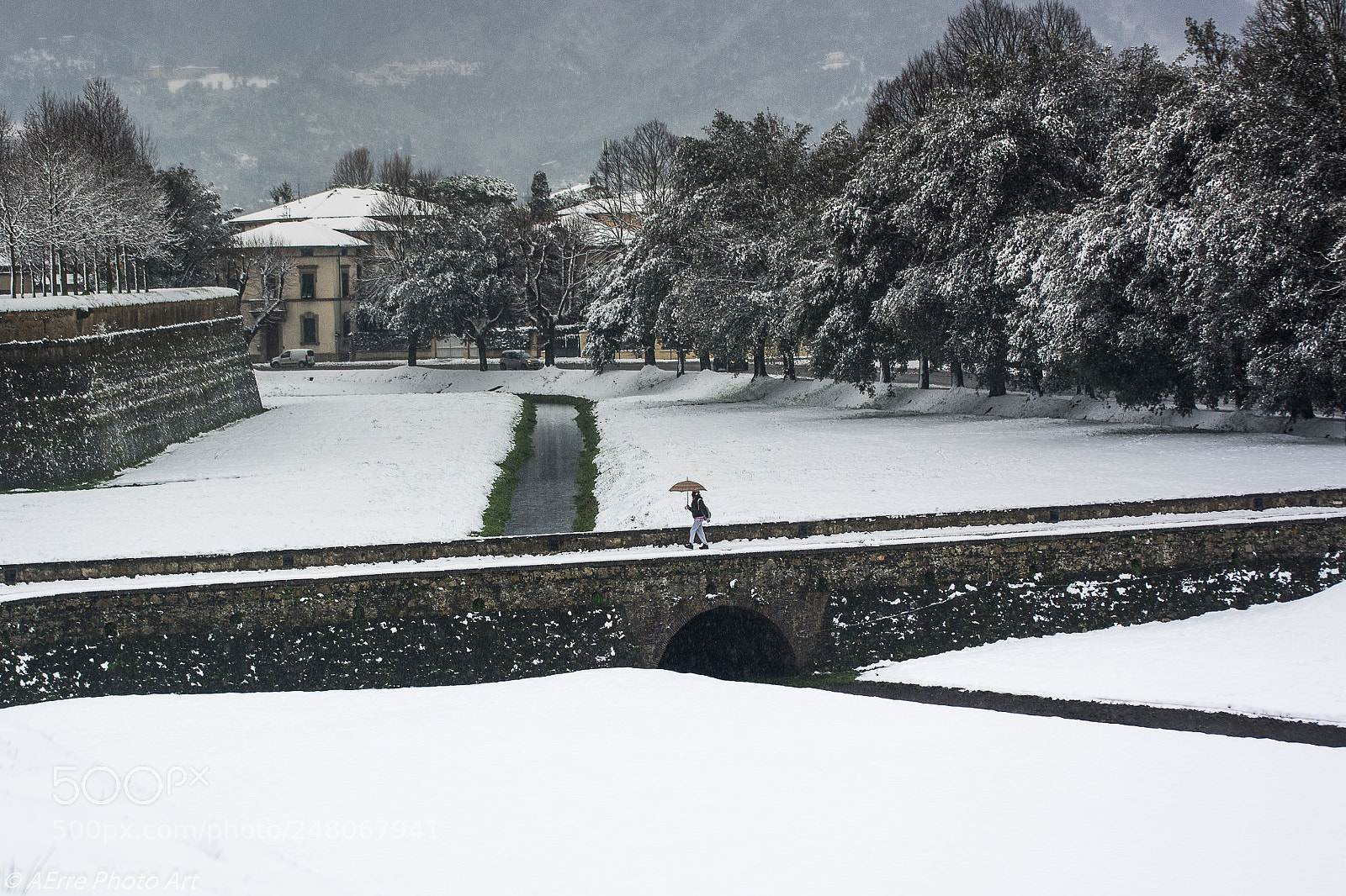 Nikon D7100 sample photo. Snow photography