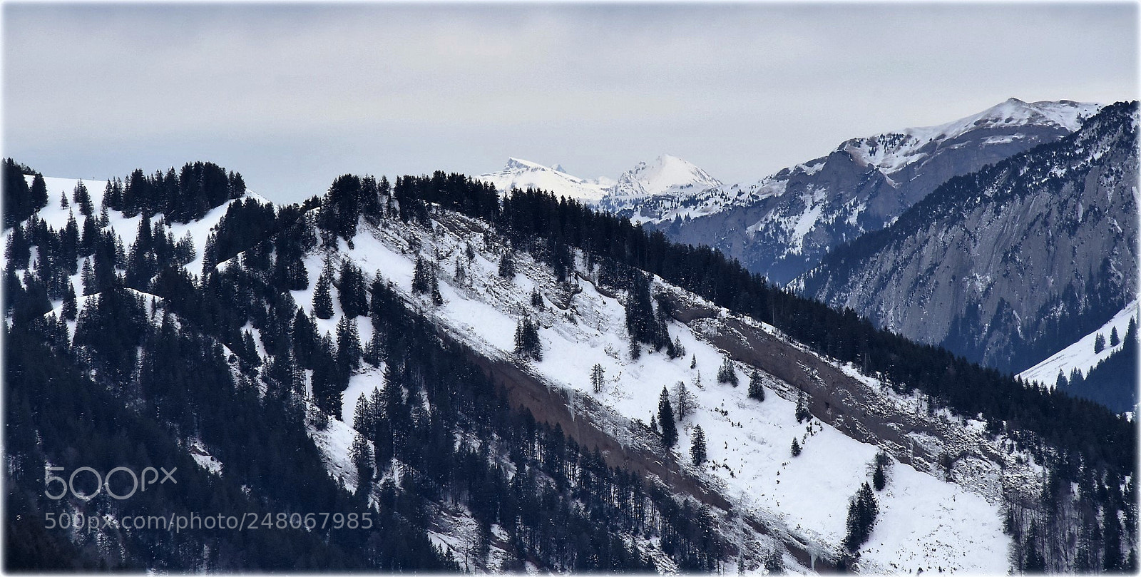 Nikon D810 sample photo. "horizon" photography
