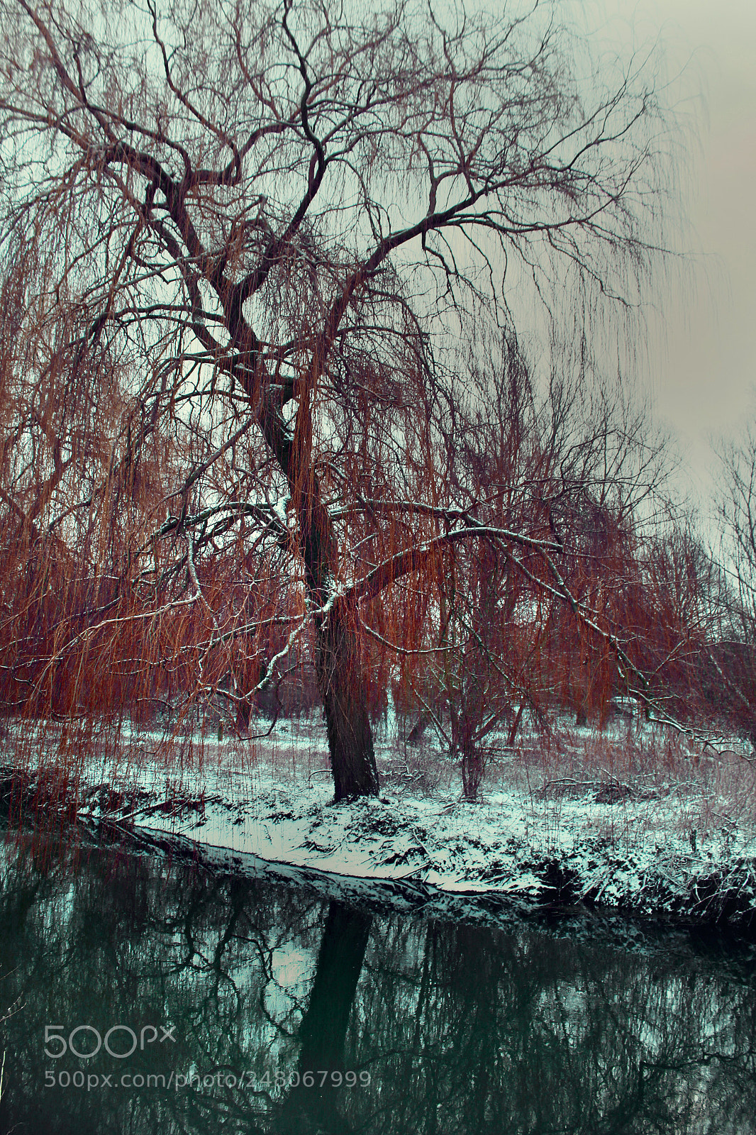 Canon EOS 1200D (EOS Rebel T5 / EOS Kiss X70 / EOS Hi) sample photo. Canterbury snow photography