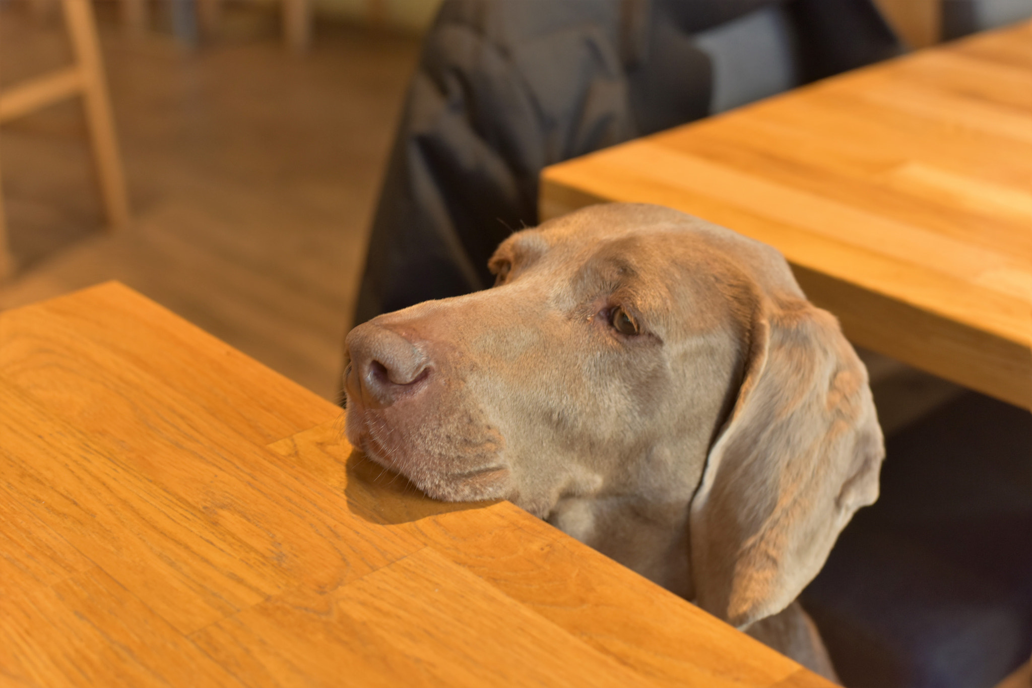 Nikon D810 + Nikon AF-S Nikkor 50mm F1.8G sample photo. 810_5917.jpg photography