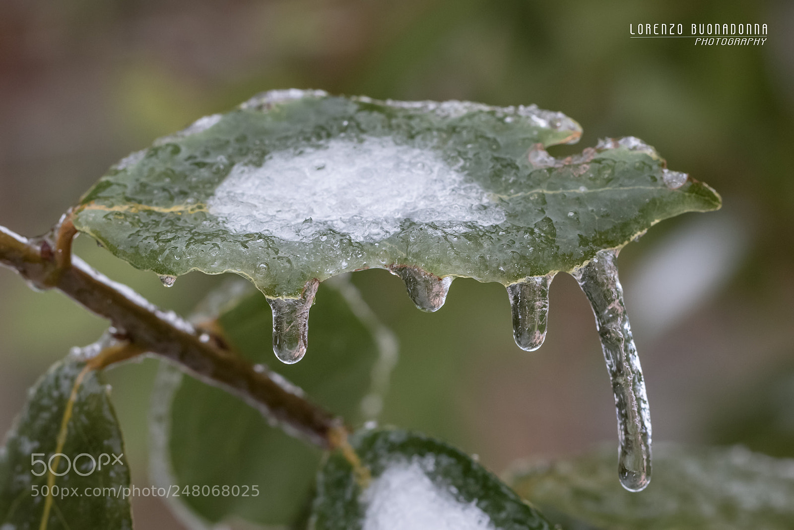 Canon EOS 7D Mark II sample photo. Galaverna 2 (torriglia, ge, italy) photography