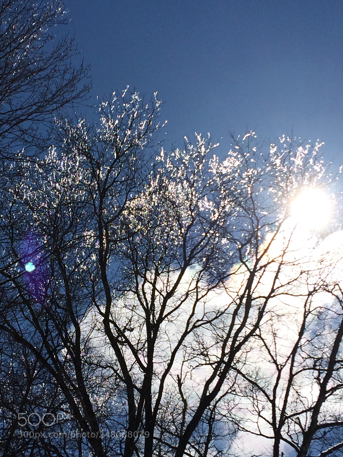 Apple iPhone 5s sample photo. Untitled photography