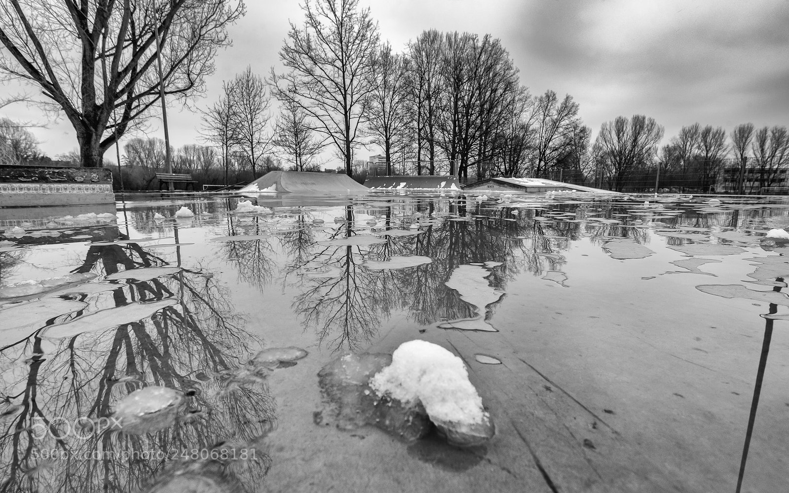 Nikon D800 sample photo. Icy reflections photography