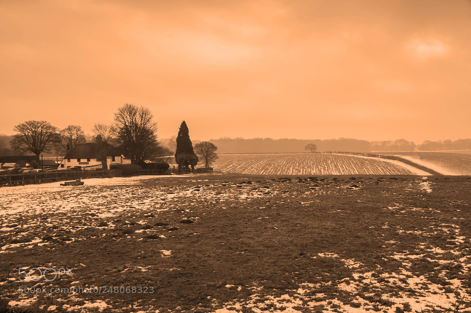 Nikon D3100 sample photo. Winter, be gone photography