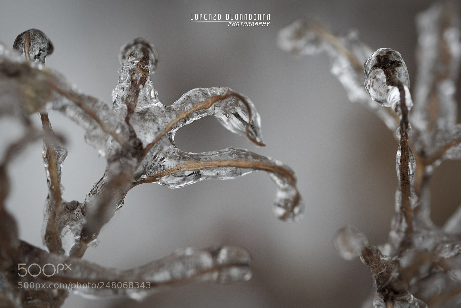 Canon EOS 7D Mark II sample photo. Galaverna 3 (torriglia, ge, italy) photography