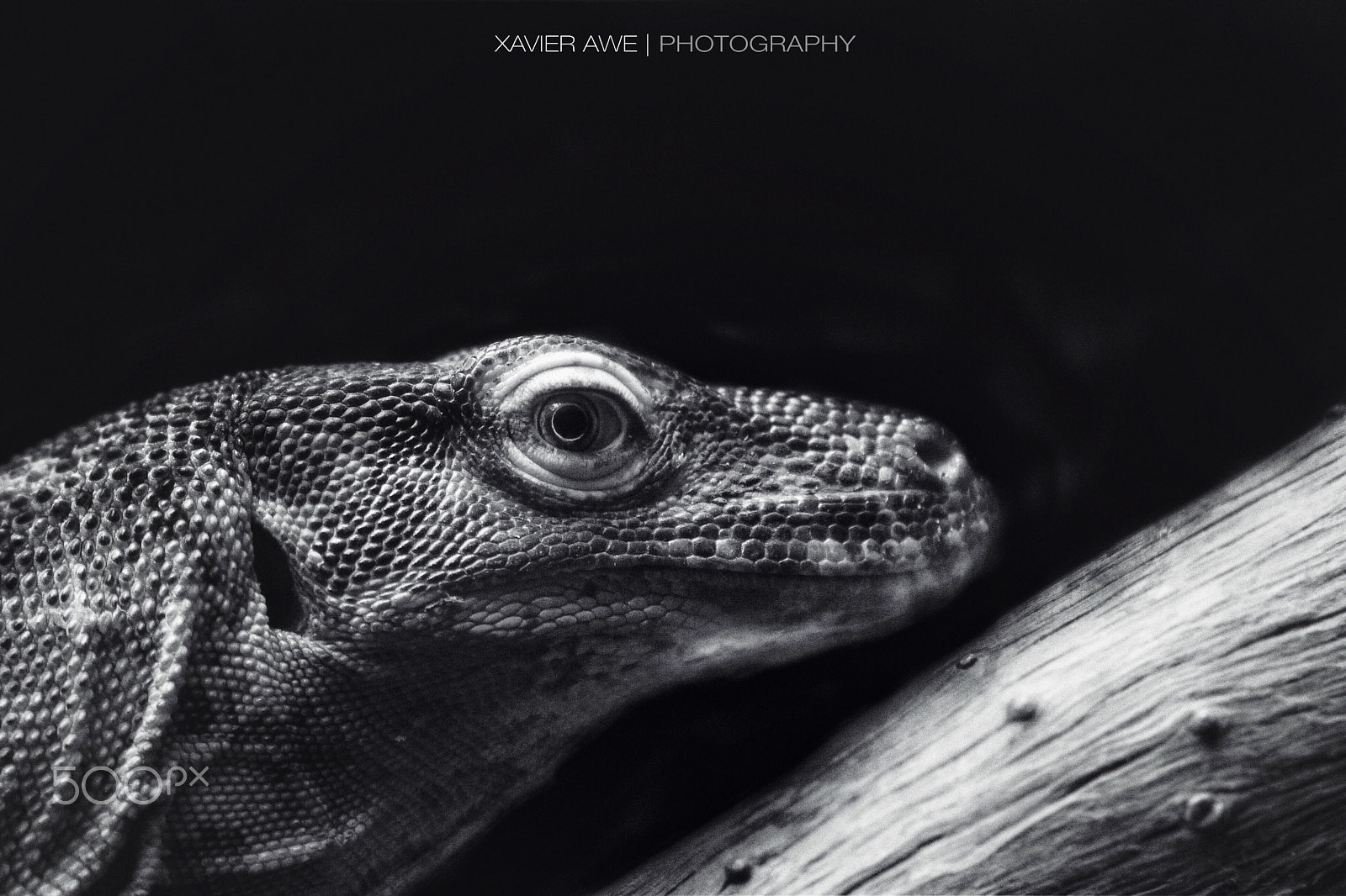 Panasonic Lumix DMC-GX1 sample photo. The stare photography