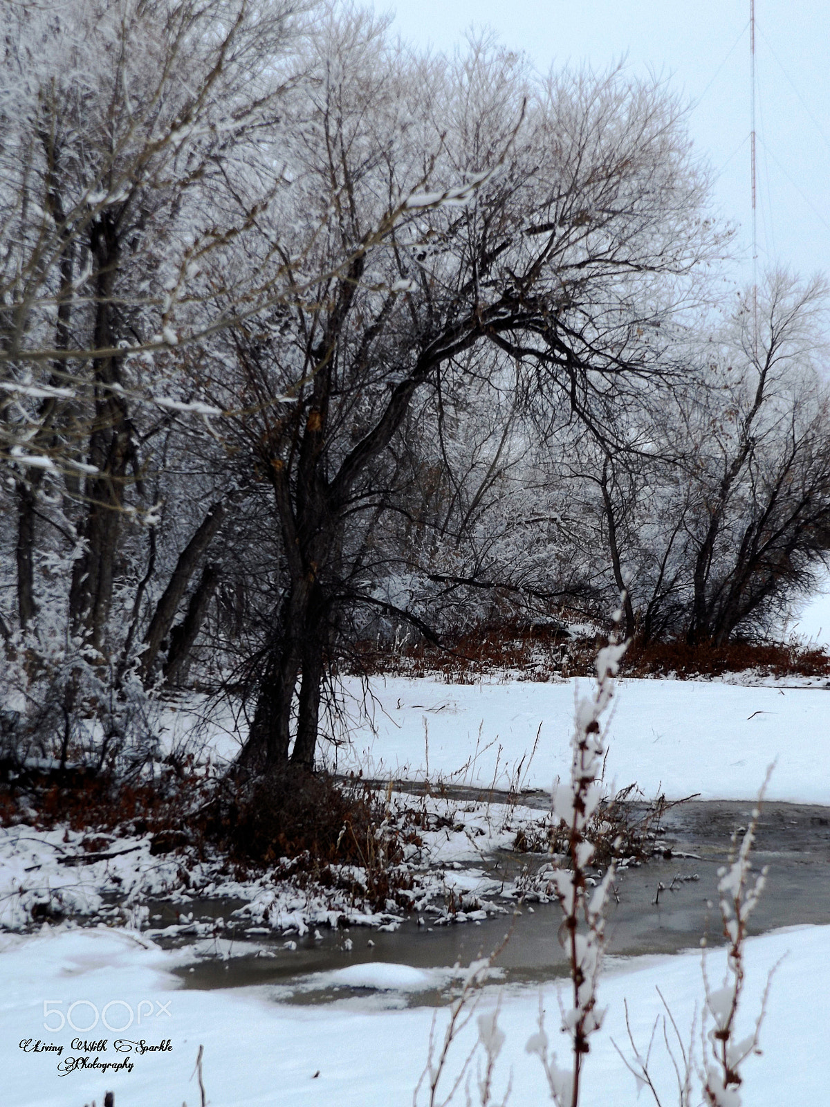 Fujifilm FinePix S8600 sample photo. Water and snow photography