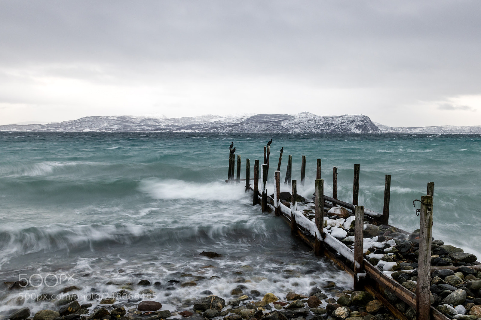 Nikon D500 sample photo. Winter in norway photography