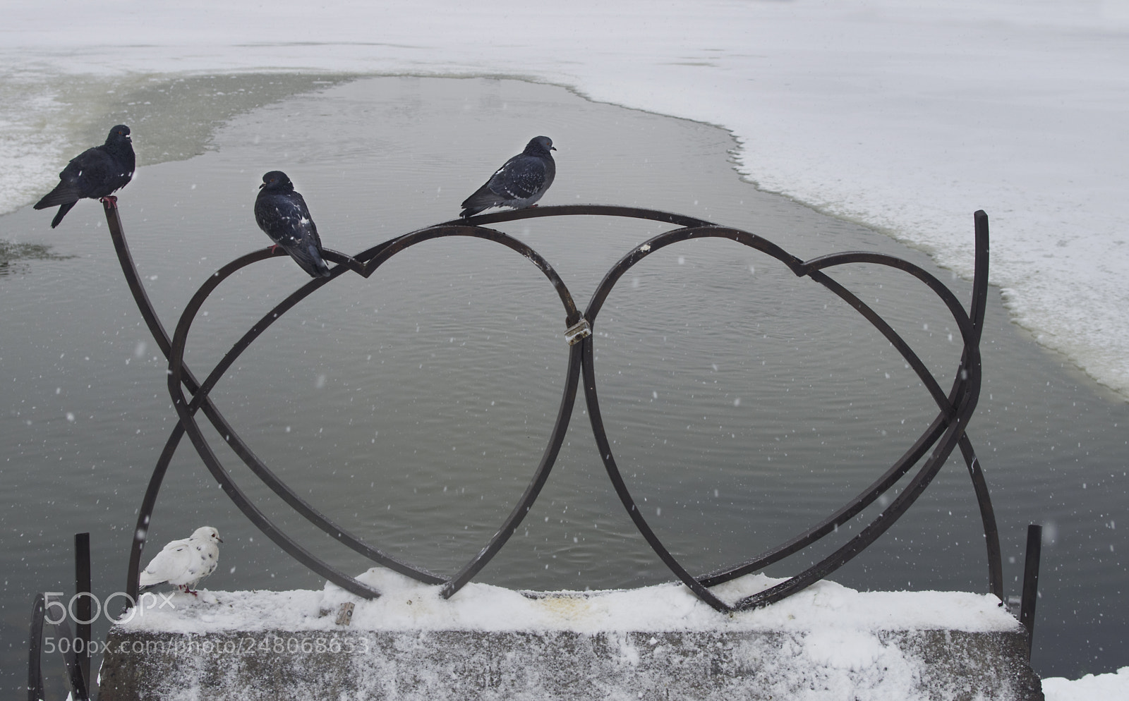 Pentax K-30 sample photo. Hearts of three photography