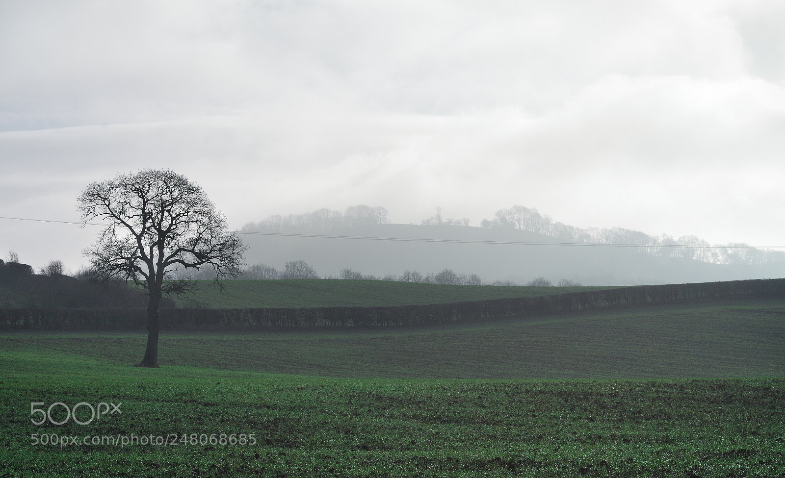 Pentax K-30 sample photo. Foggy field photography