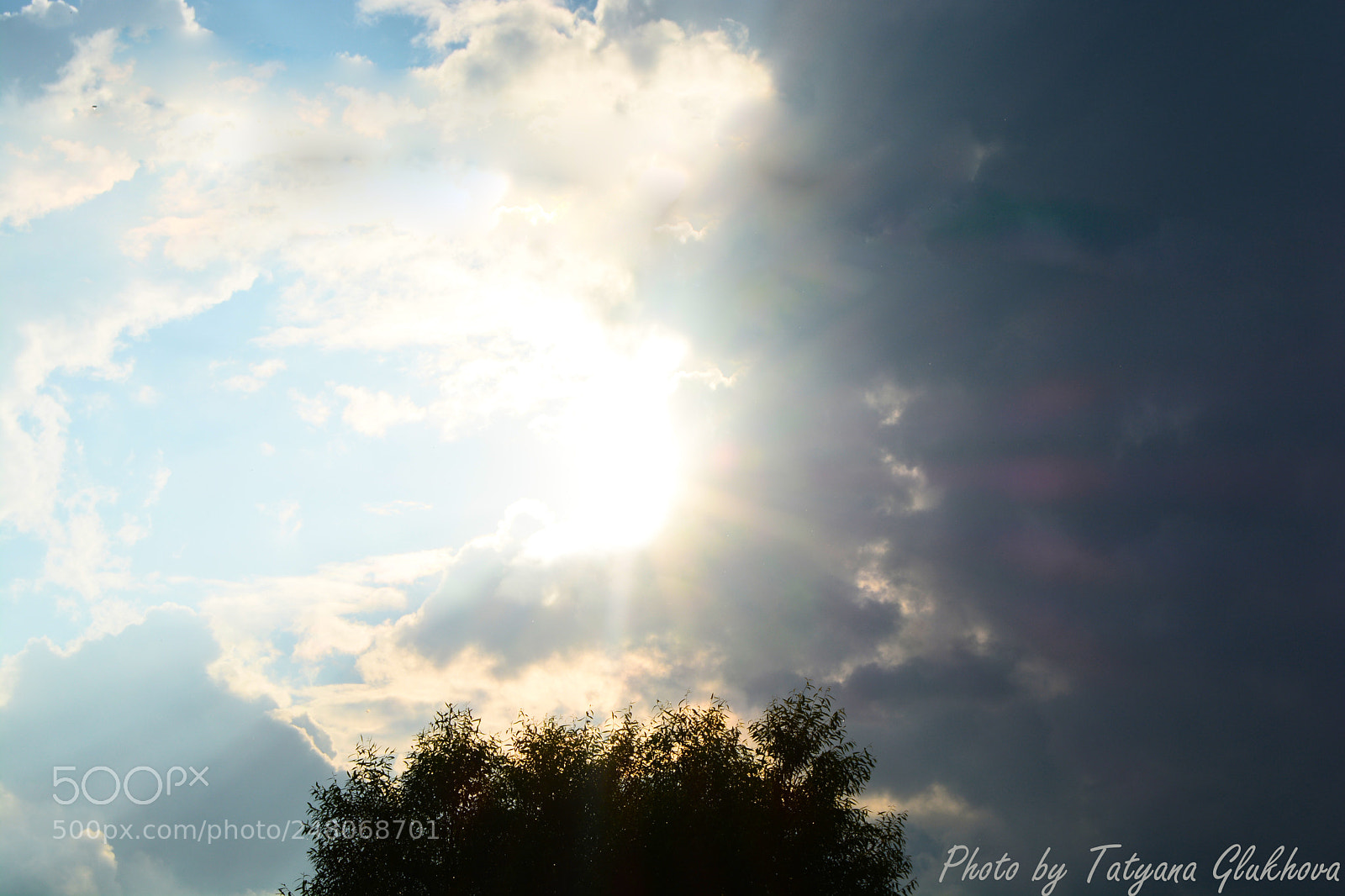 Nikon D5200 sample photo. Untitled photography