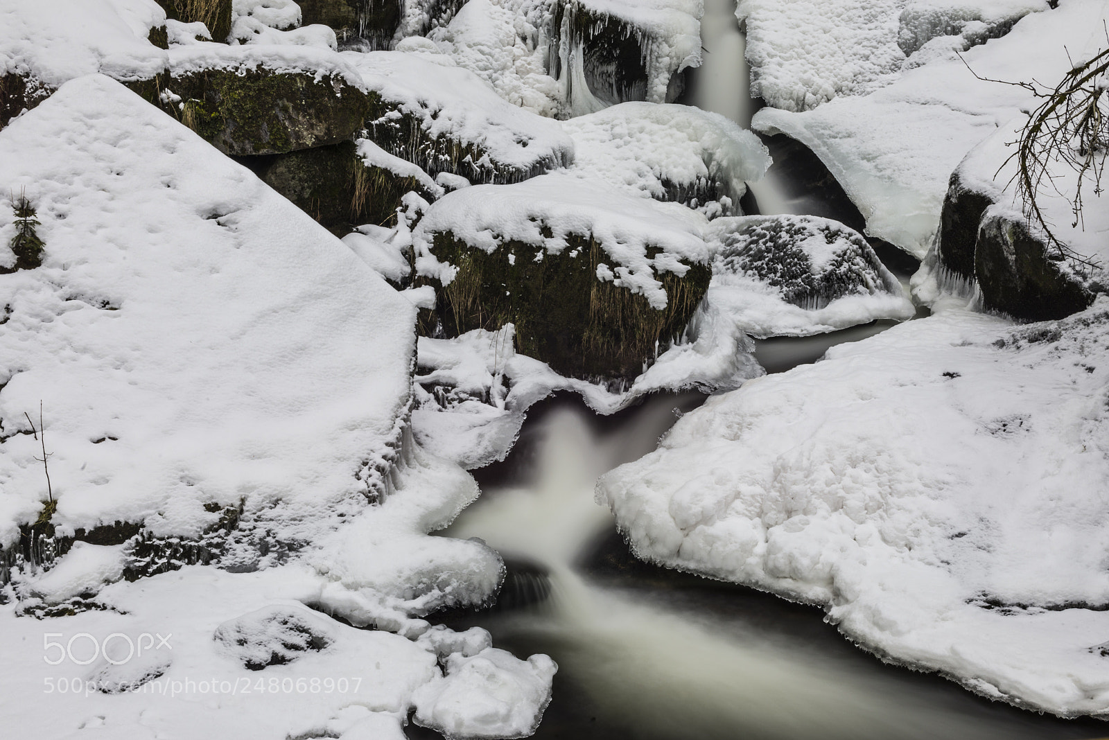 Nikon D610 sample photo. Triberg photography
