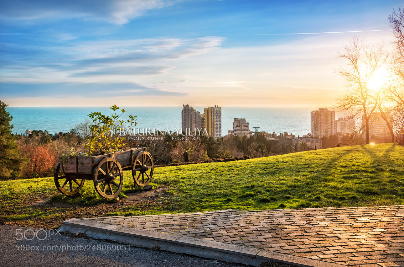 Nikon D800 sample photo. View of the black photography
