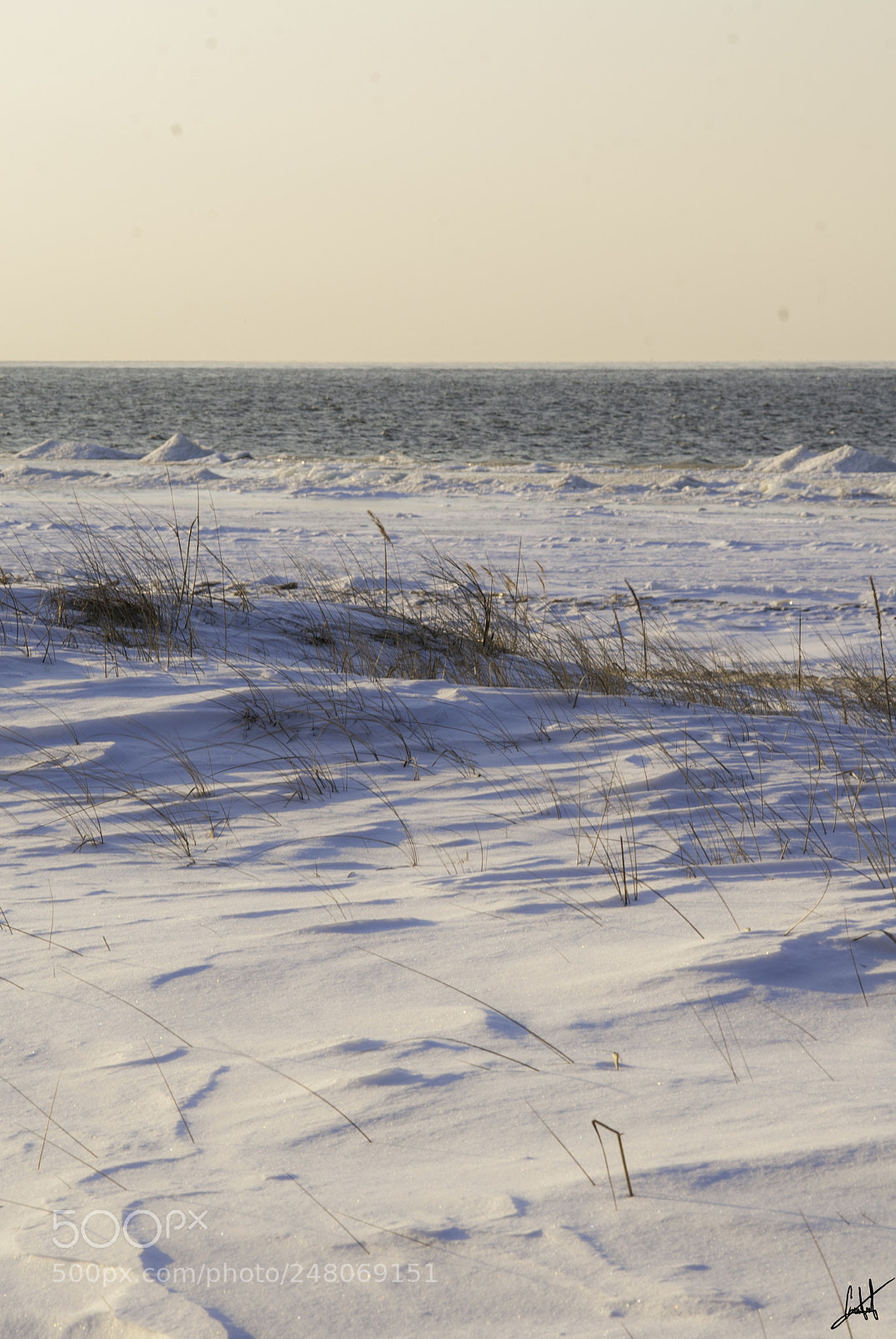 Nikon D200 sample photo. Beach photography