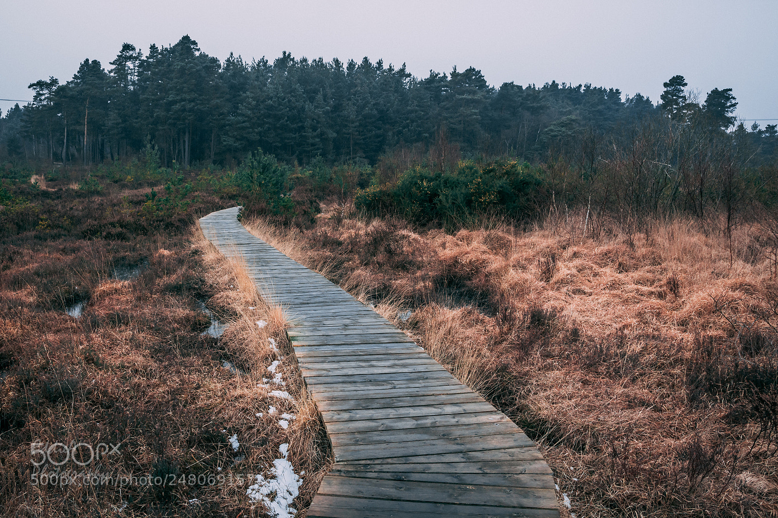 Nikon D7100 sample photo. After the storm photography