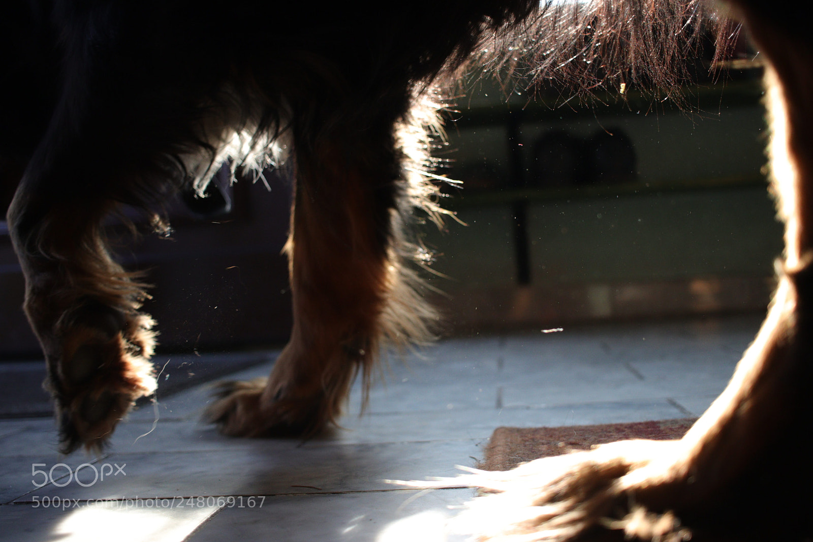 Canon EOS 77D (EOS 9000D / EOS 770D) sample photo. Untitled photography