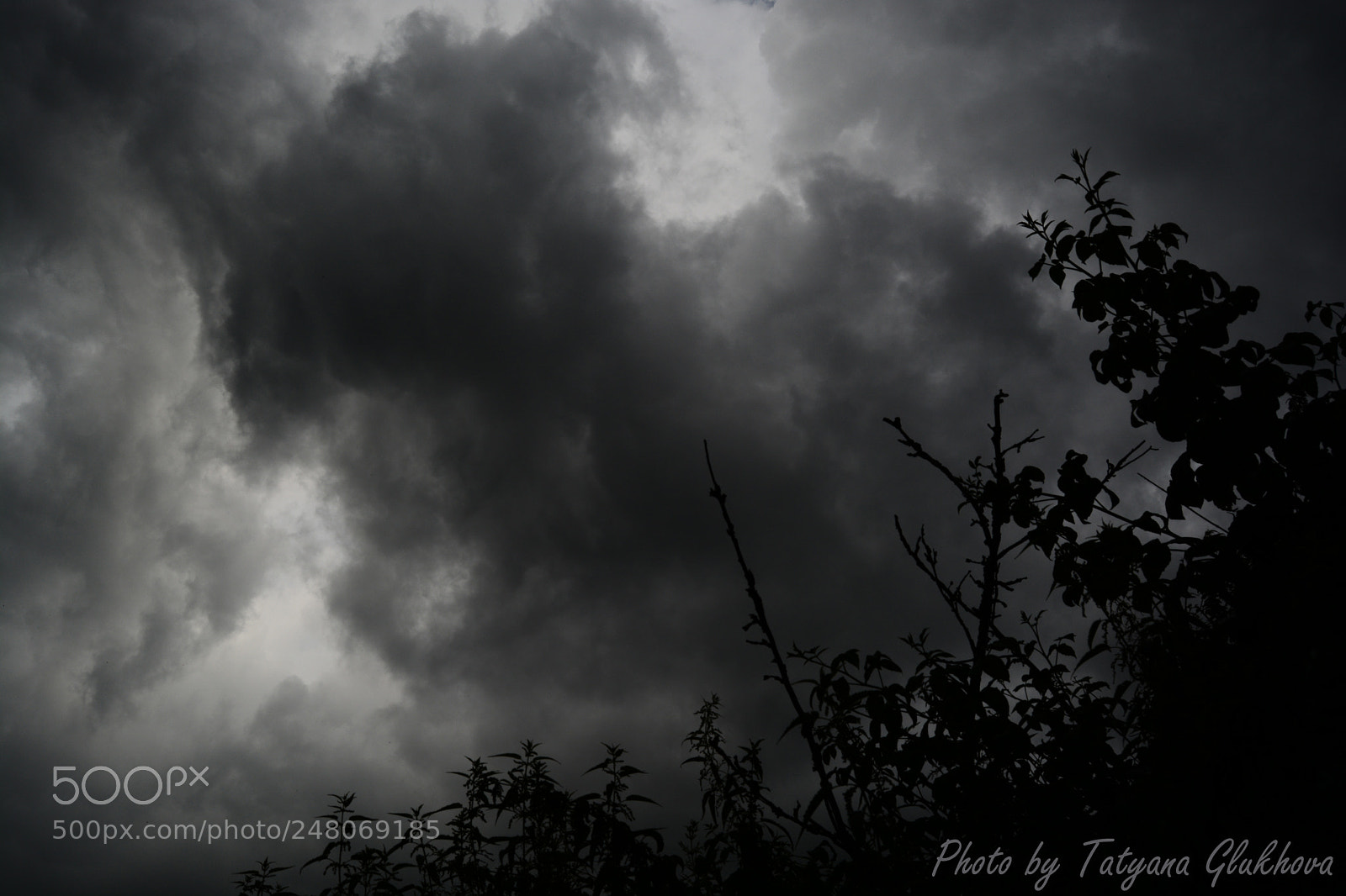Nikon D5200 sample photo. Untitled photography