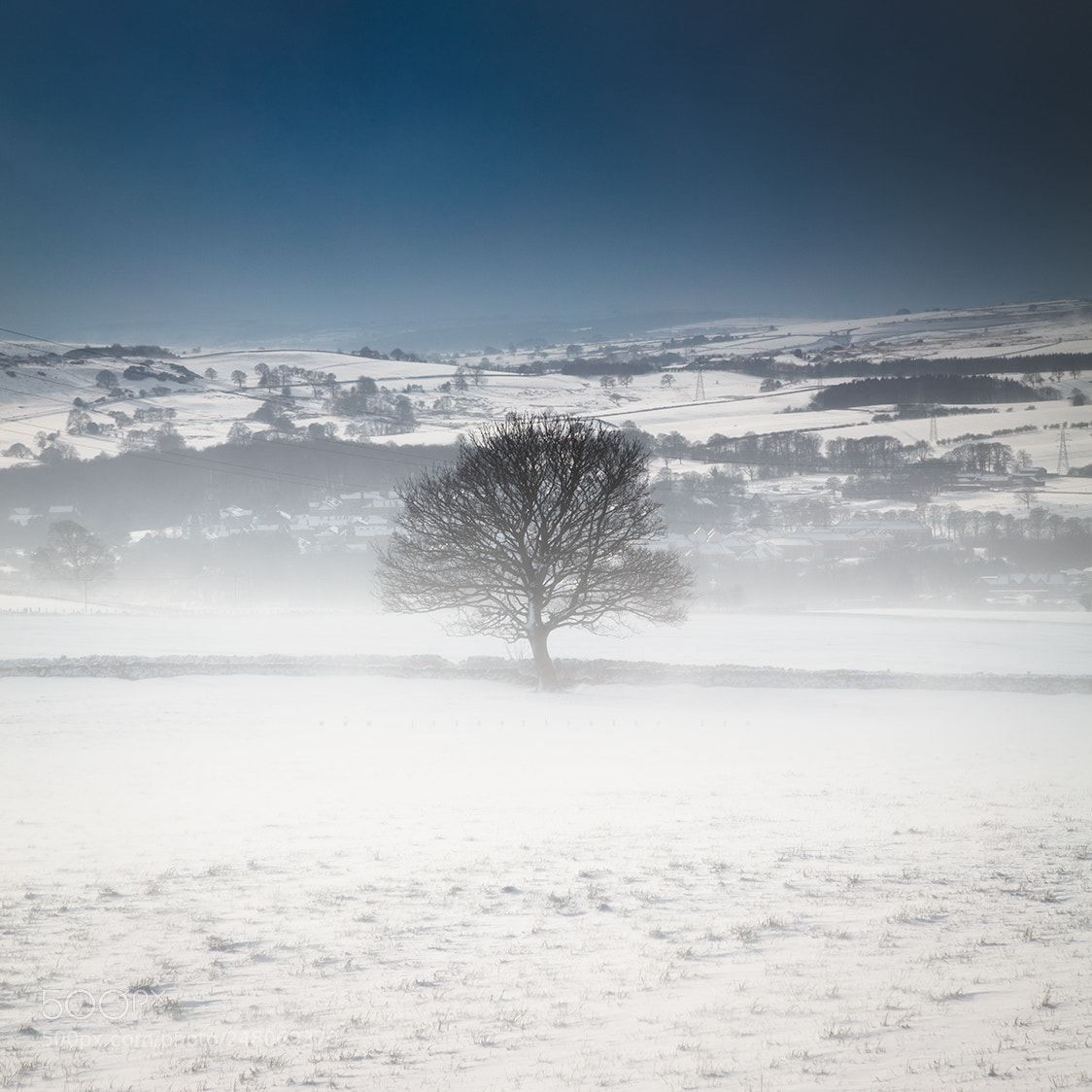Canon EOS 5DS sample photo. Frosty chevin photography