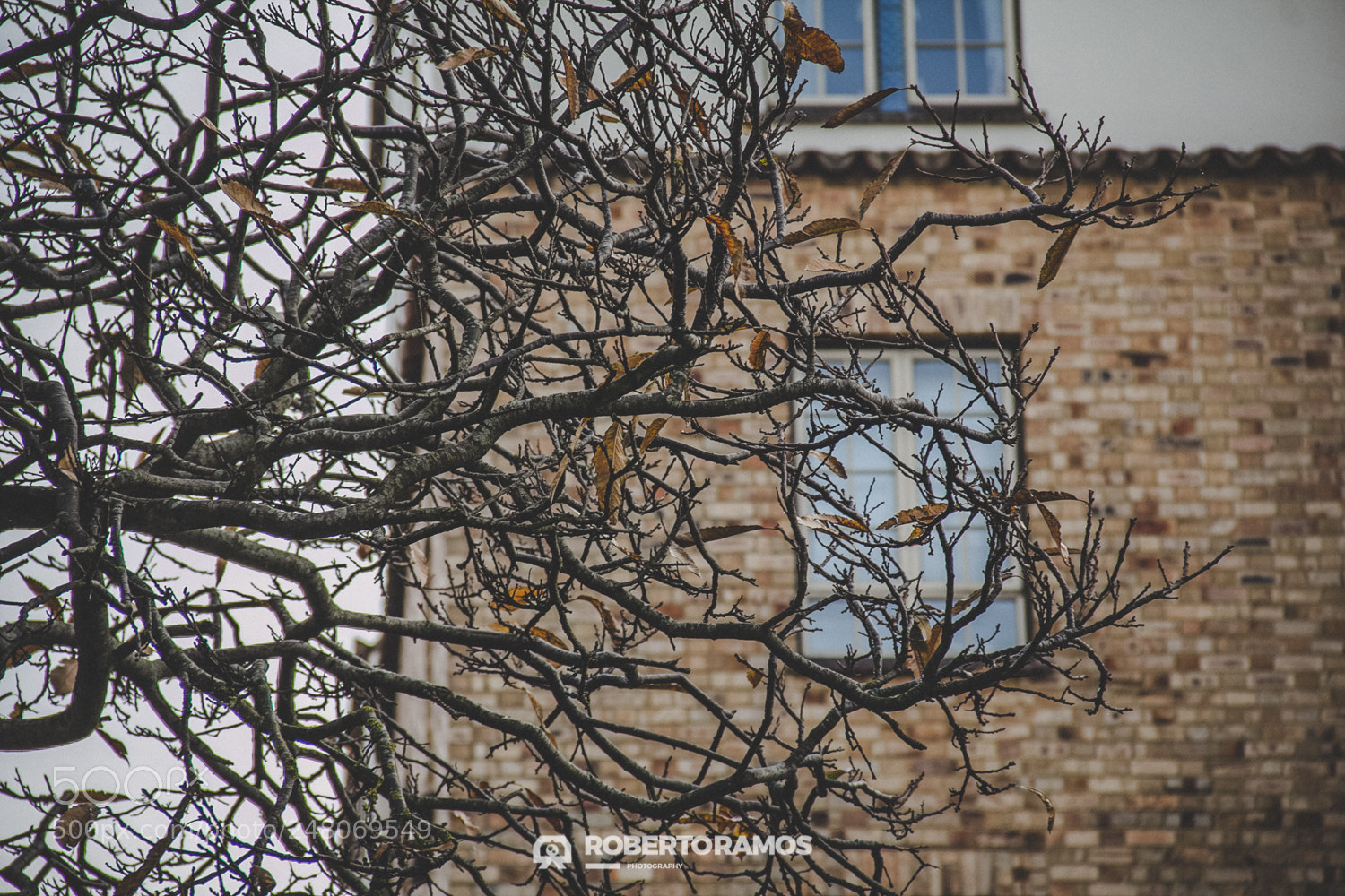 Canon EOS 60D sample photo. Nature x urban photography