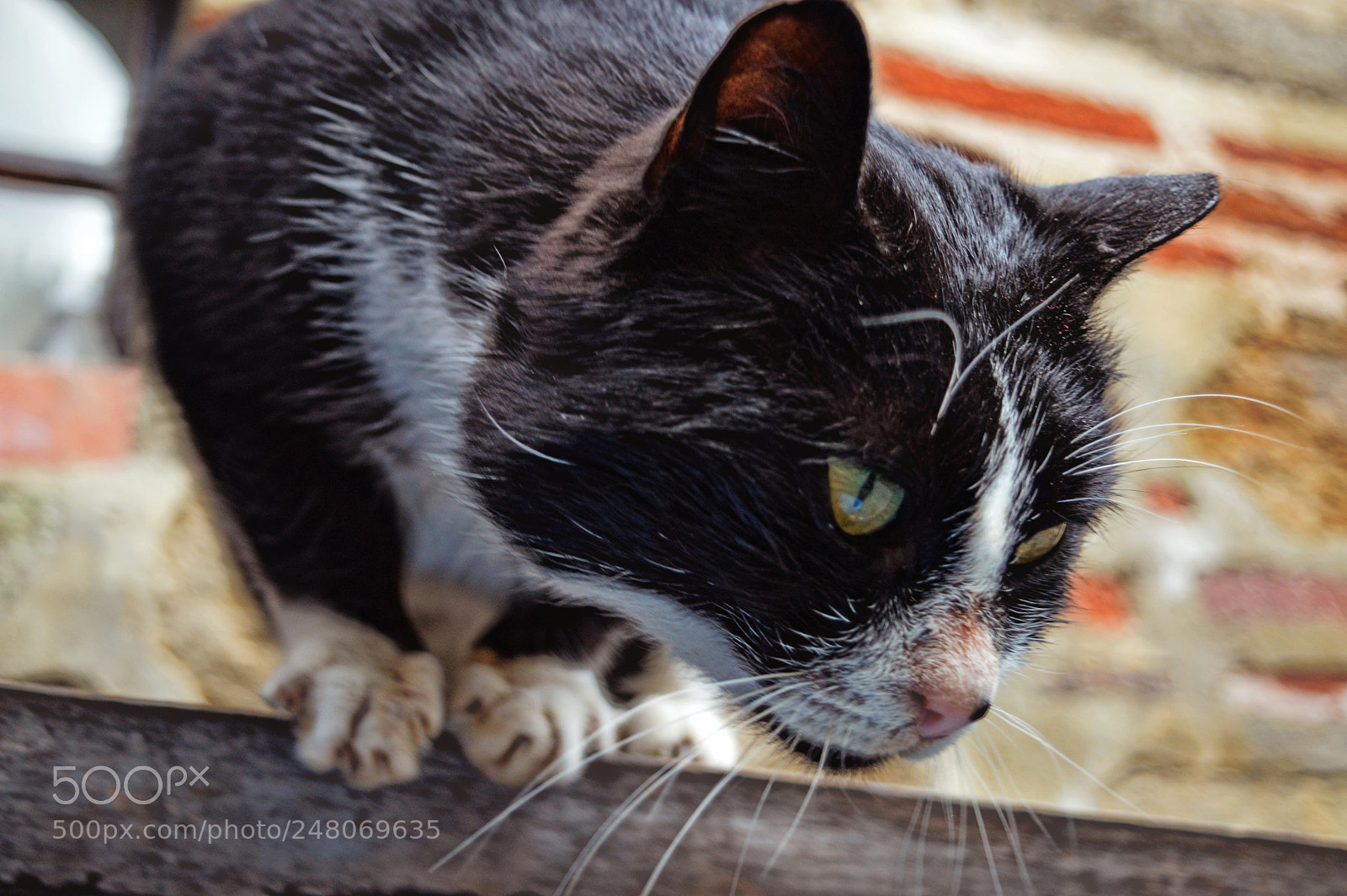 Nikon D3200 sample photo. I'll jump photography