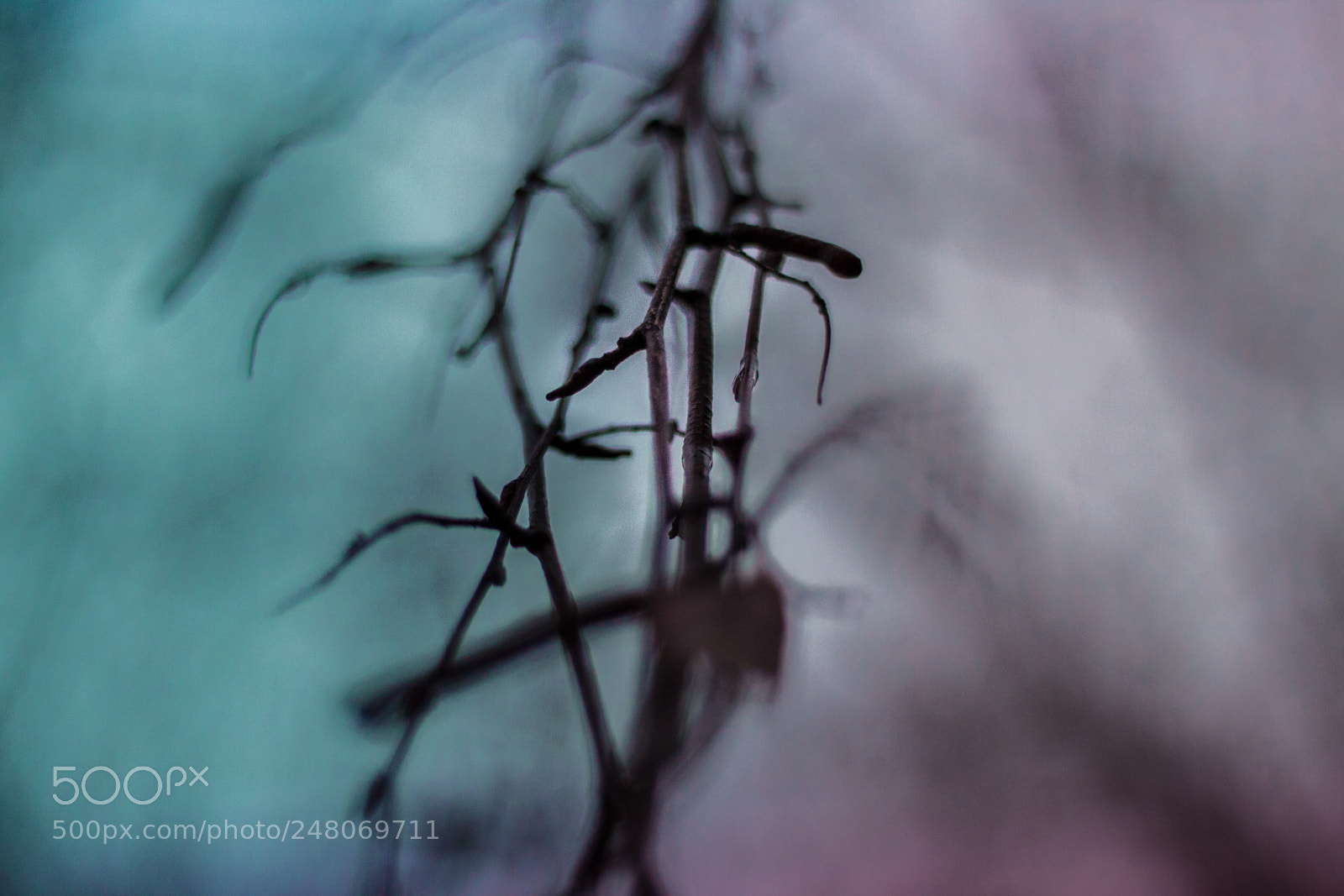 Canon EOS 50D sample photo. Blurred  thoughts photography