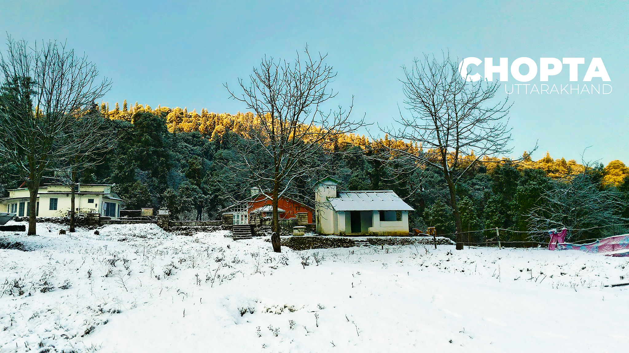 ASUS ZenFone Max (ZC550KL) sample photo. Chopta, uttarakhand photography