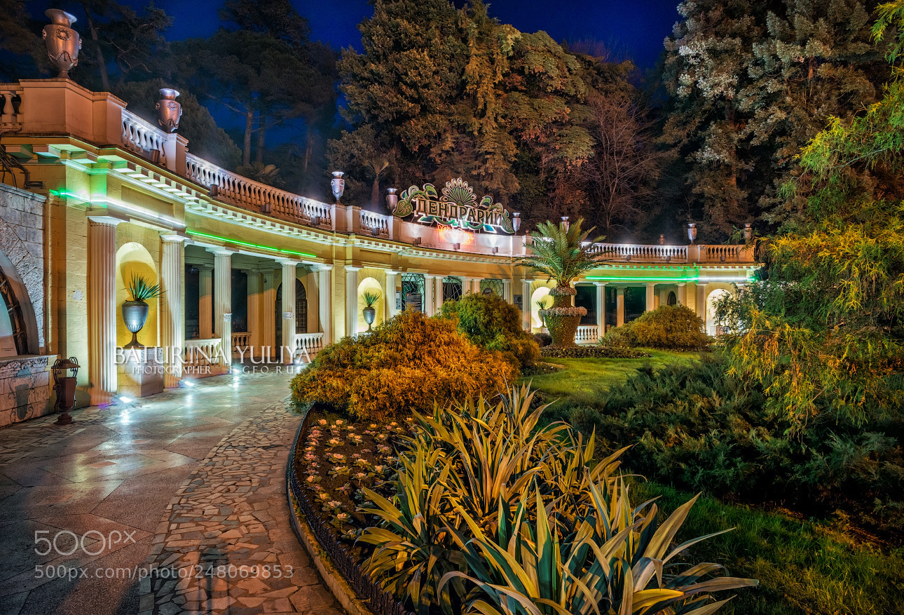 Nikon D800 sample photo. Sochi arboretum at night photography