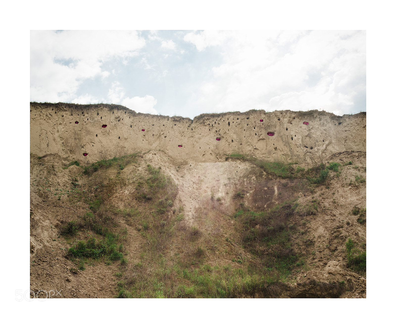 Fujifilm X-Pro1 sample photo. Pack photography