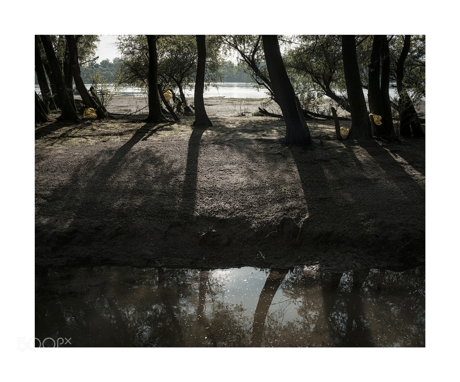 Fujifilm X-Pro1 sample photo. Pack photography
