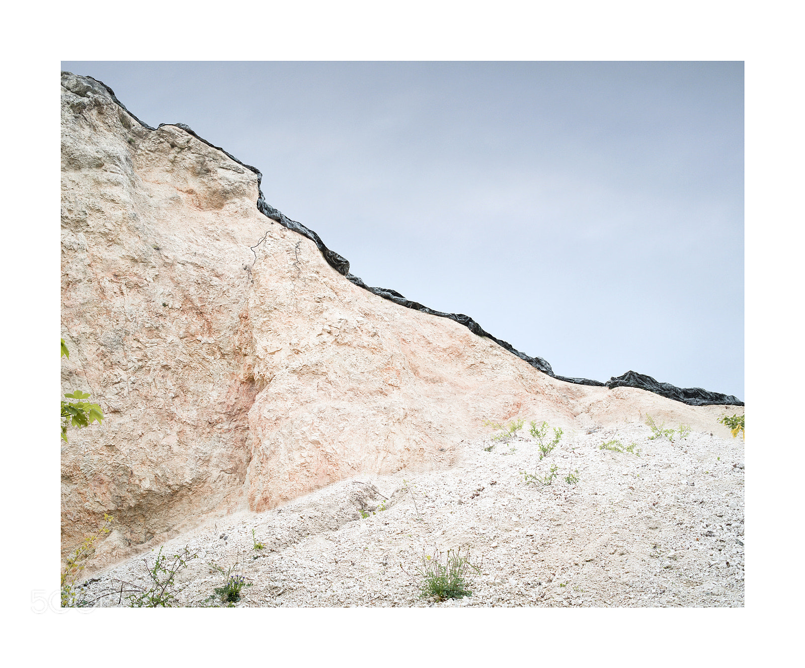 Fujifilm X-Pro1 sample photo. Pack photography