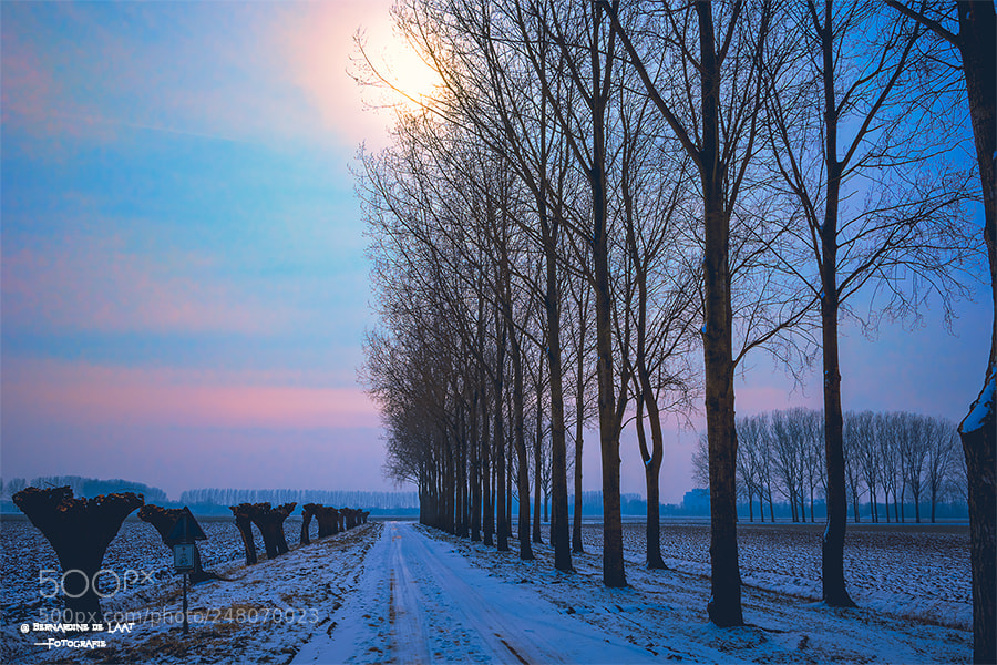 Nikon D7100 sample photo. Winter in march photography