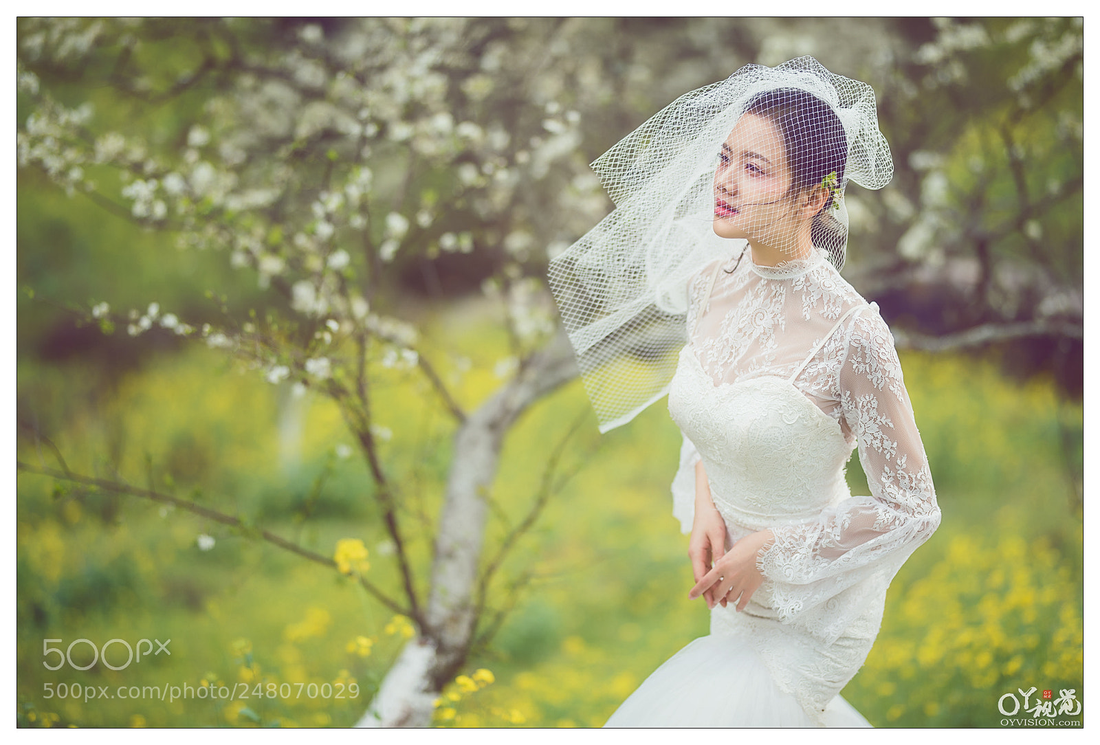 Nikon D810 sample photo. Untitled photography
