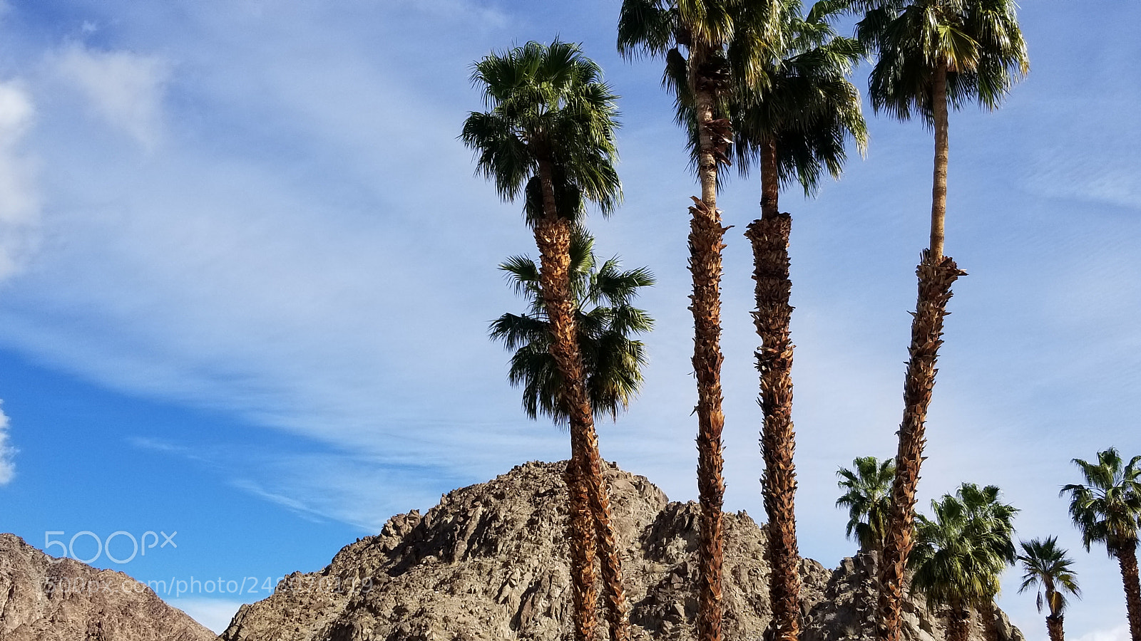 Samsung Galaxy S8+ sample photo. Untitled photography