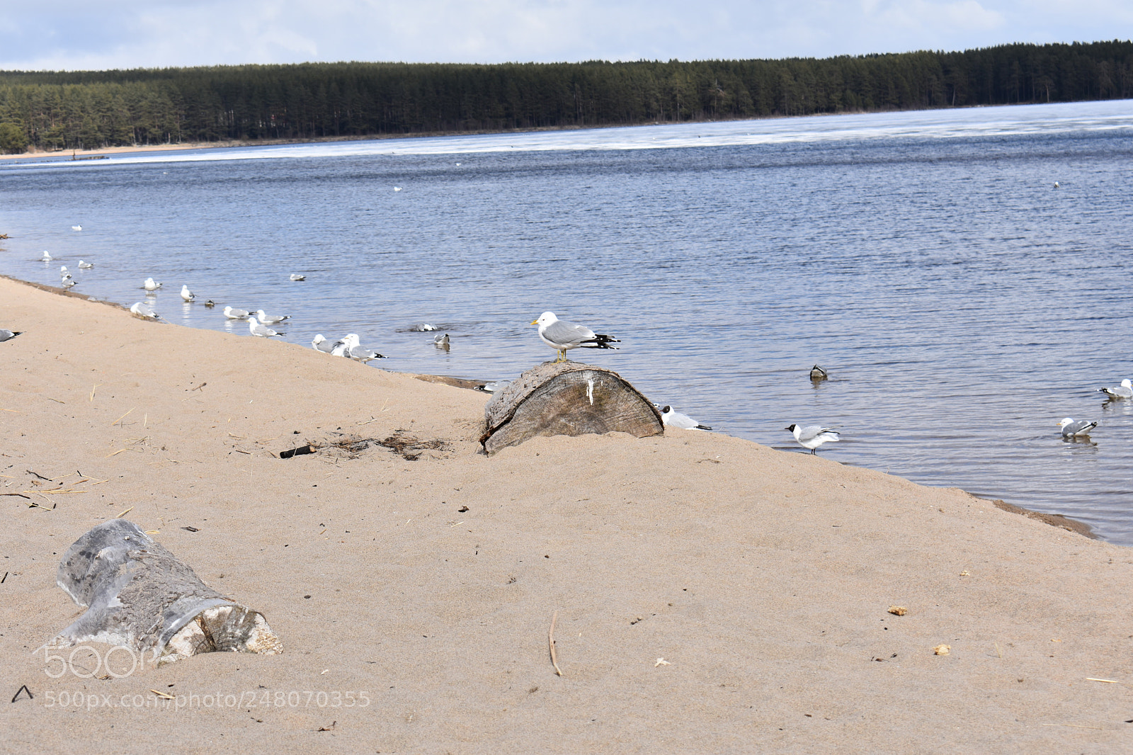 Nikon D3400 sample photo. Untitled photography