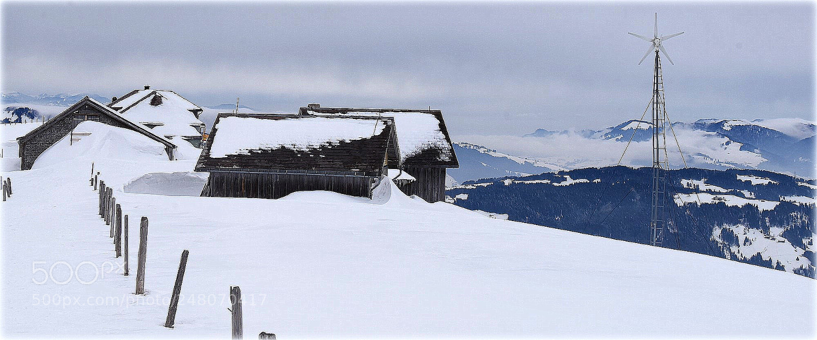 Nikon D810 sample photo. "winters up" photography