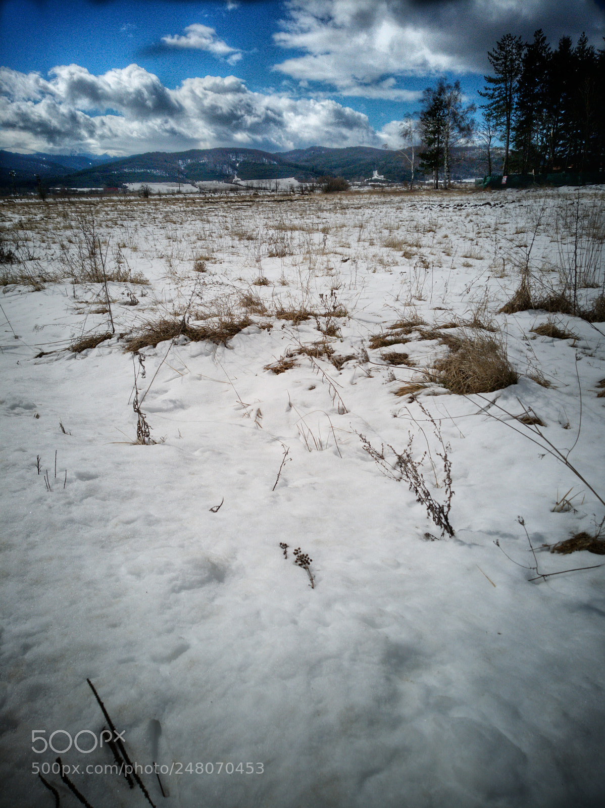 HUAWEI Mate 10 Lite sample photo. Field photography