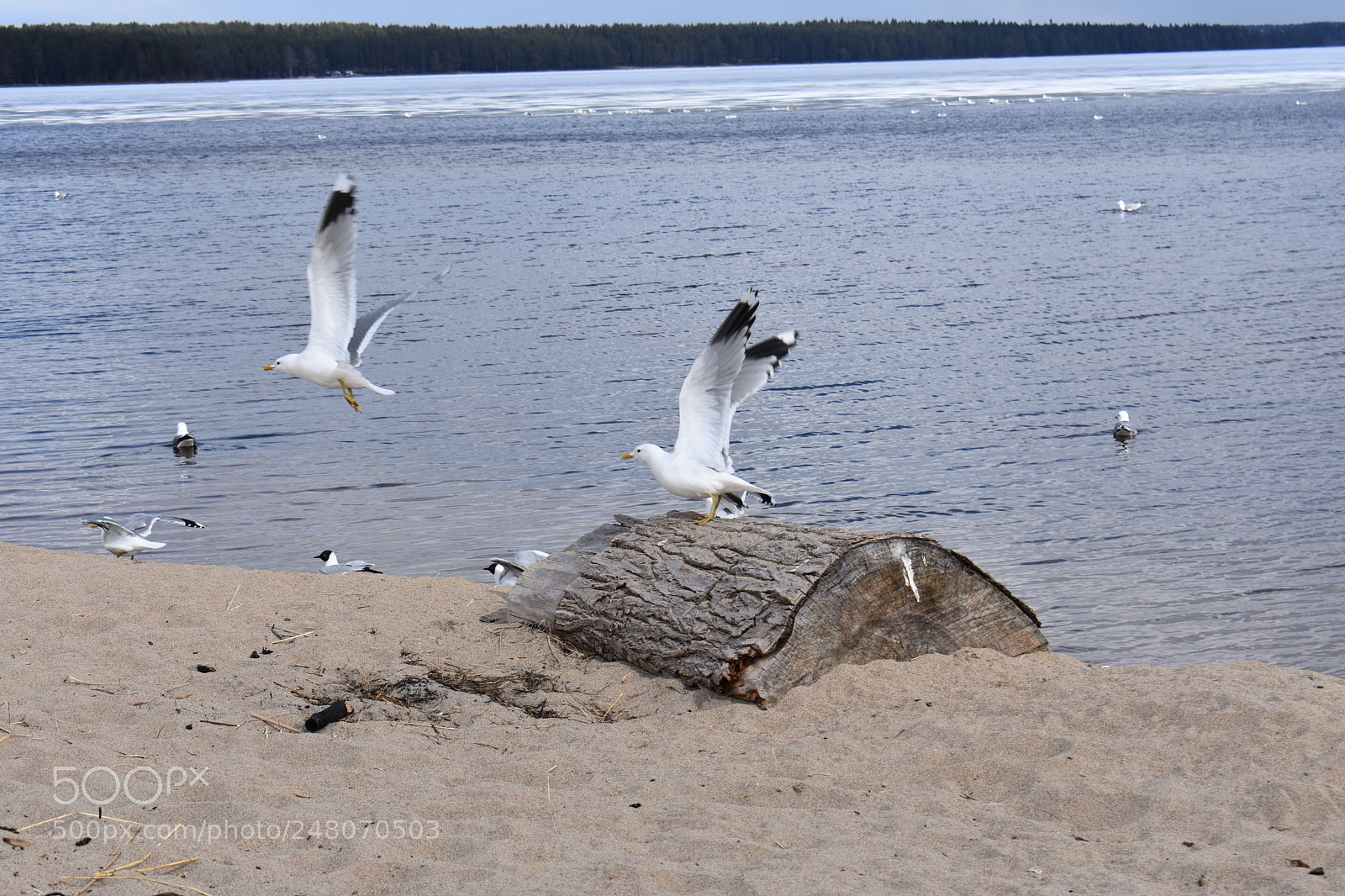 Nikon D3400 sample photo. Untitled photography