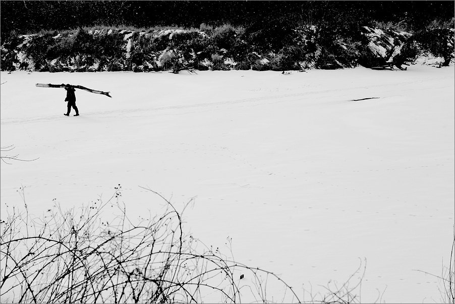 Nikon D610 sample photo. A man with a photography
