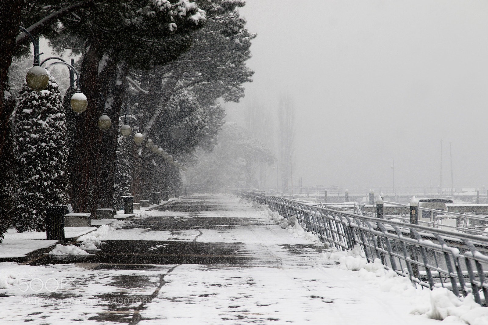 Canon EOS 7D Mark II sample photo. I apologize for the photography