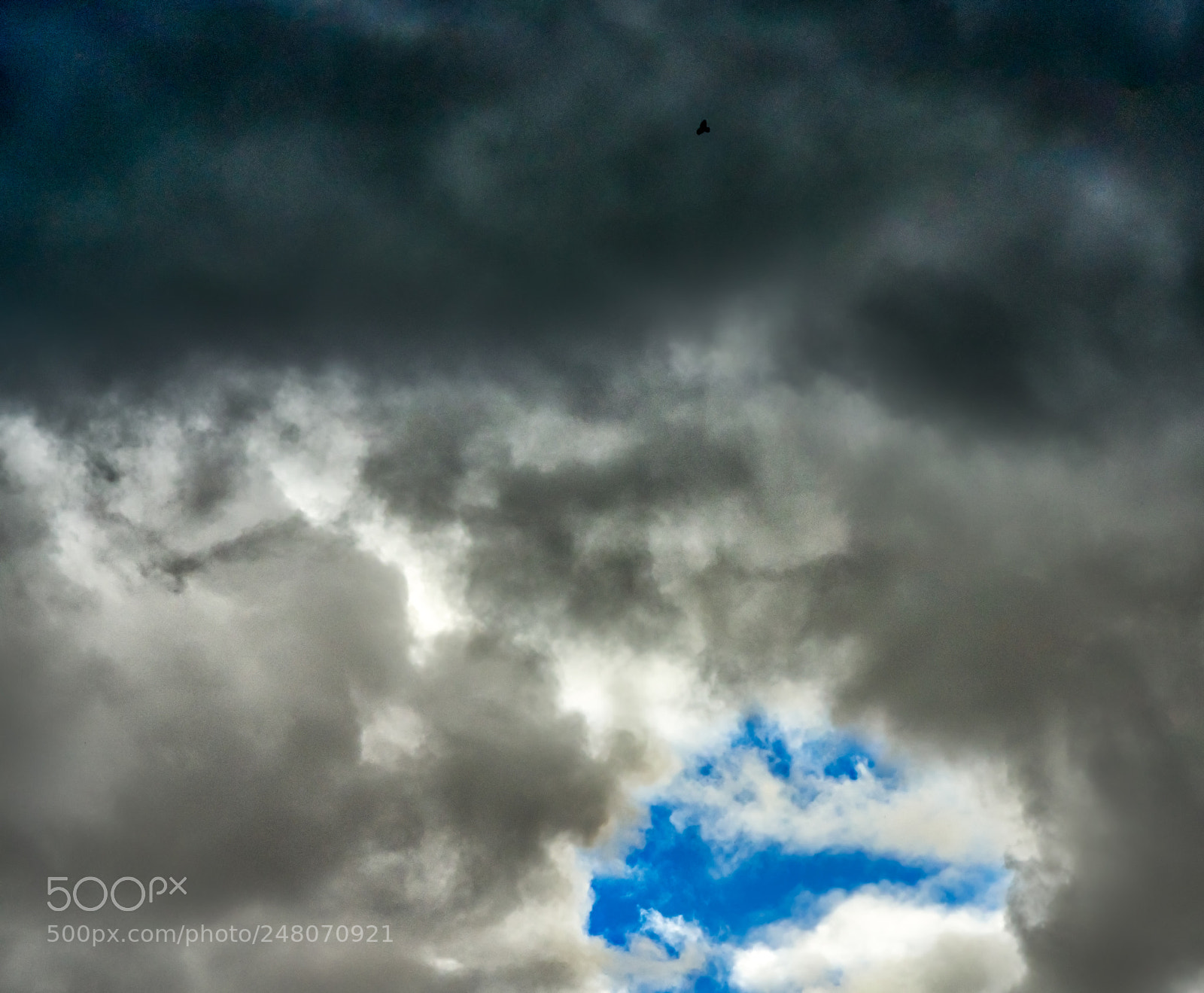 Pentax K-3 II sample photo. Clouds n bird photography