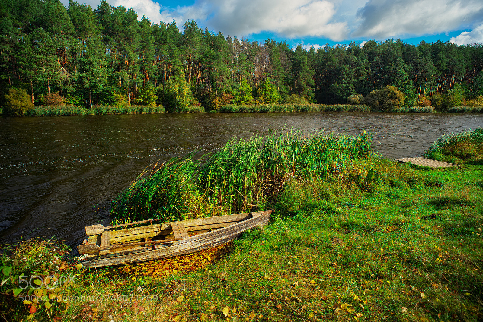 Nikon D800E sample photo. Autumn photography