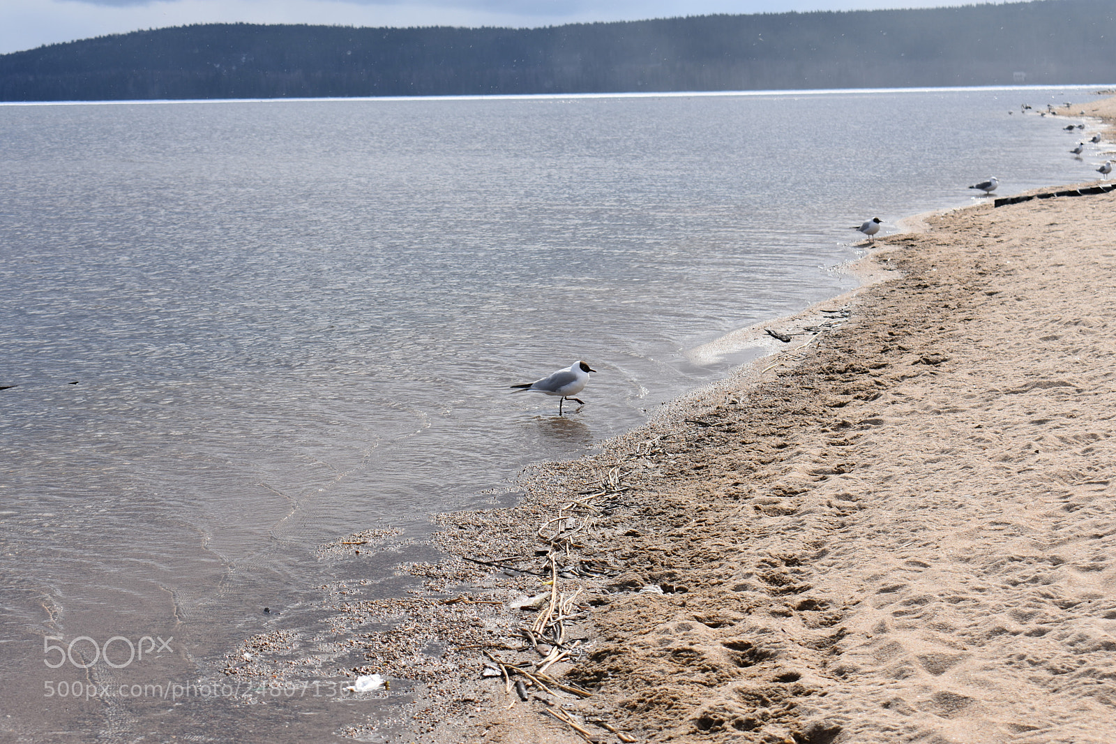 Nikon D3400 sample photo. Untitled photography