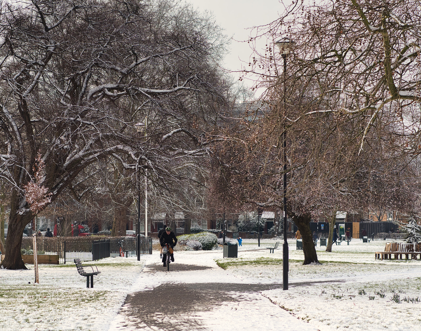 Olympus OM-D E-M1 Mark II sample photo. Winter snowfall landscape park photography