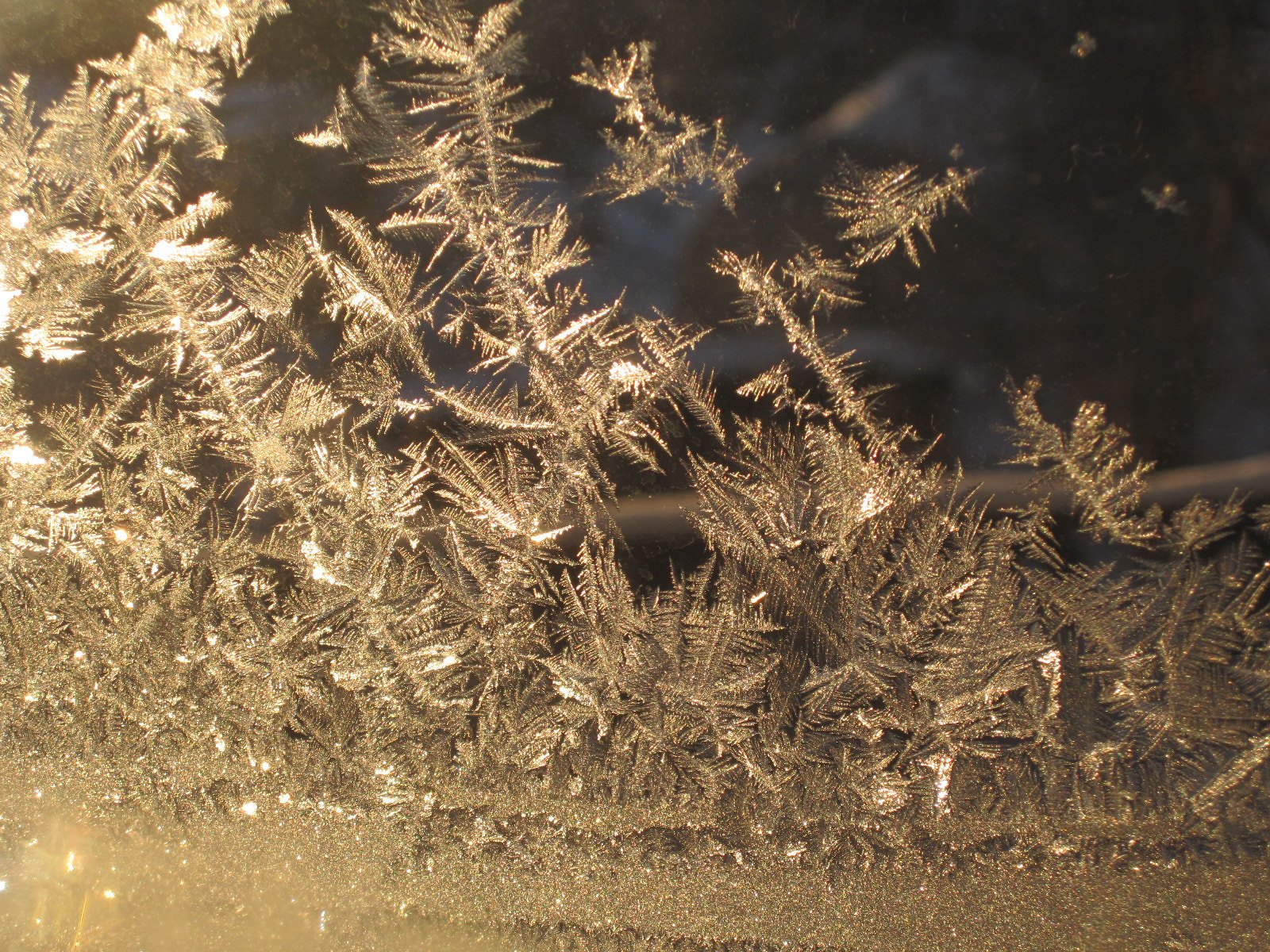 Canon PowerShot SD780 IS (Digital IXUS 100 IS / IXY Digital 210 IS) sample photo. Ice on window photography