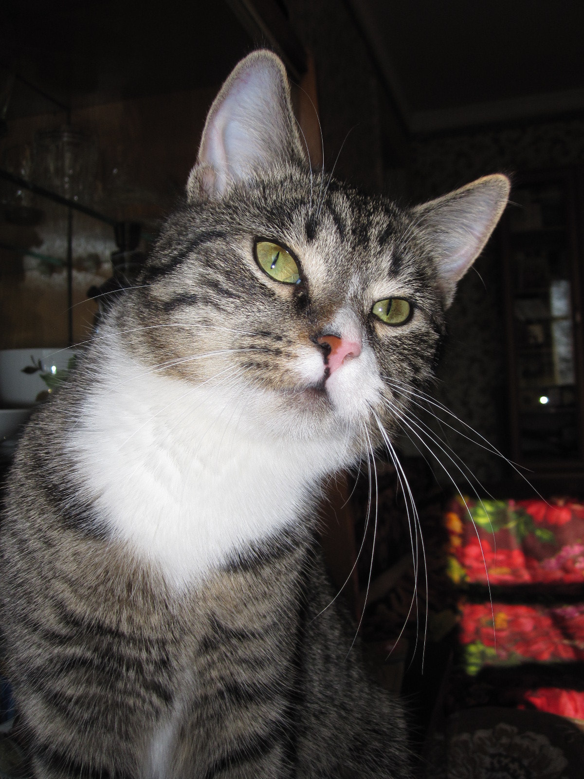 Canon PowerShot SD780 IS (Digital IXUS 100 IS / IXY Digital 210 IS) sample photo. Kira photography